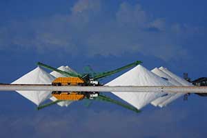 2025 Photo Comp_1476 (1).jpg