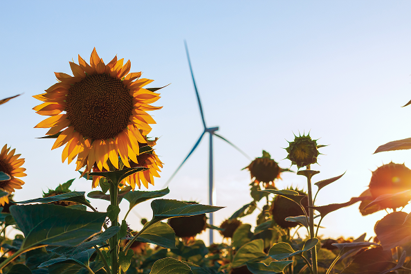 How cocoa-free stacks up environmentally