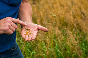 Cargill_Soil_Vinton_0091