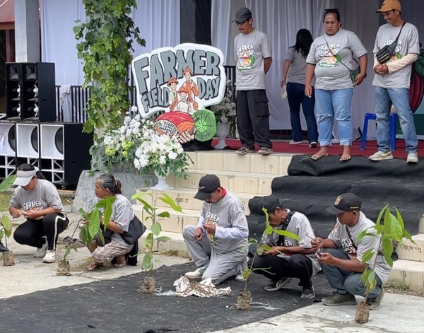 Farmers participating in cocoa grafting competition