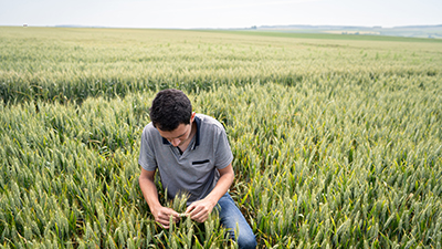 resilient food system