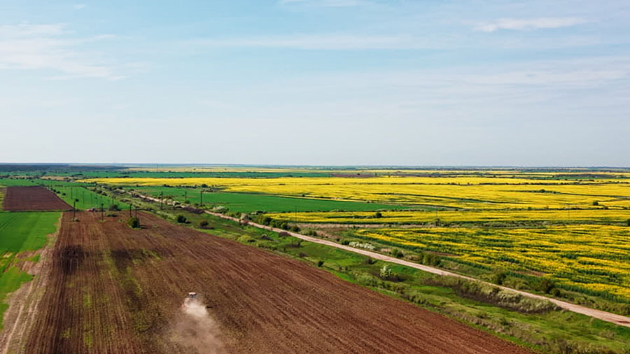An aerial view of a tractor rolling through brown rows of dirt, with huge swaths of yellow sunflowers visible in the distance. 