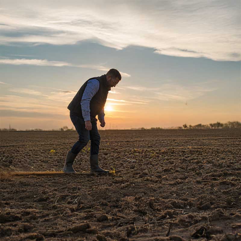 La chaîne d'approvisionnement d'huile de tournesol de Cargill soutient les clients de la restauration en Europe