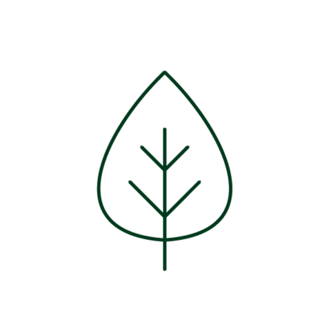 Simple green line icon of a leaf outline with a central stem and branching veins, representing bio-based or plant-derived content.