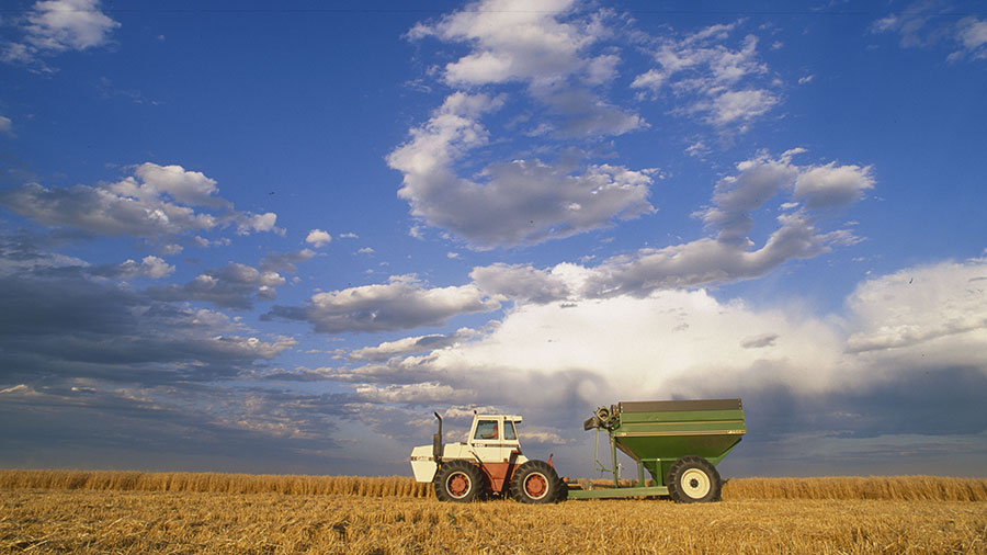 A tractor rolls through a wheat field while pulling a large green trailer and bin beneath a blue sky. A tractor rolls through a wheat field while pulling a large green trailer and bin beneath a blue sky.