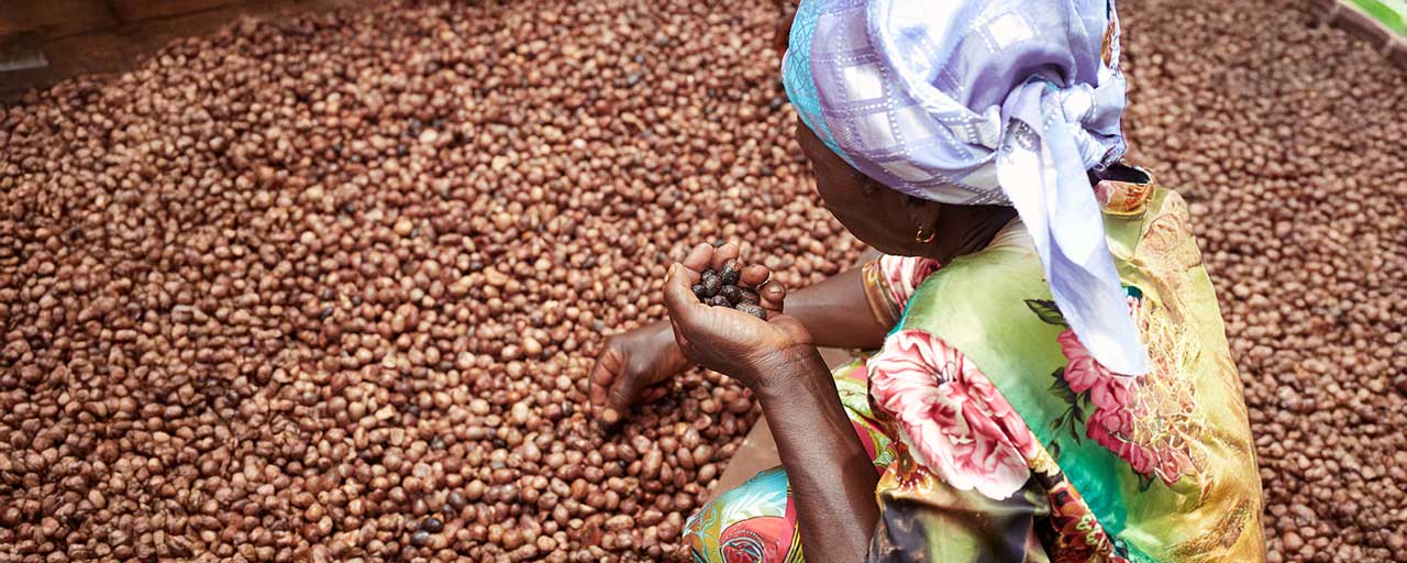 Sustainable Shea