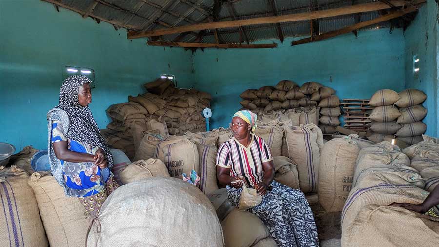 Sustainable Shea 