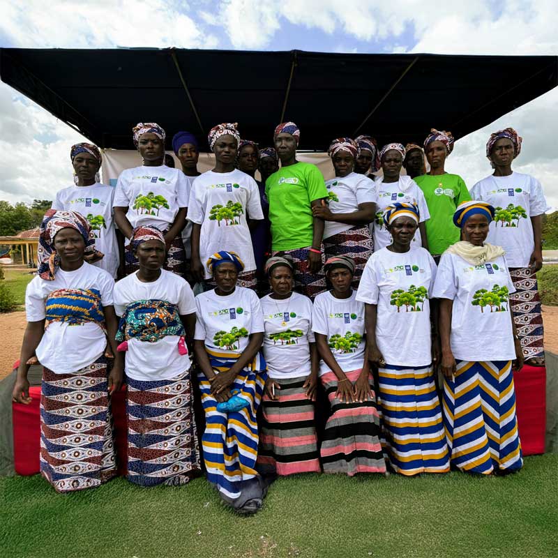 Sustainable Shea 