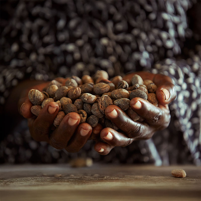 Sustainable Shea 