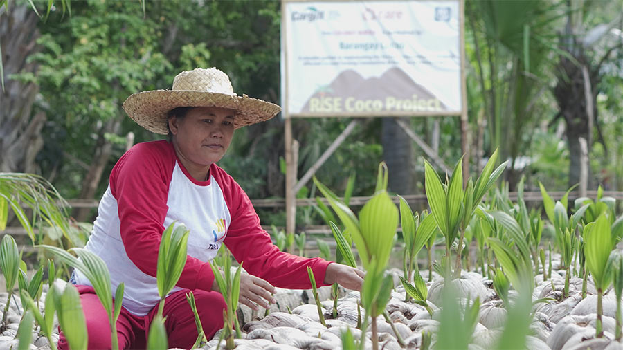 A woman in a white and red shirt and wide brown hat kneels down in a field of green plants, with a RISE Coco Project sign visible in the background. A woman in a white and red shirt and wide brown hat kneels down in a field of green plants, with a RISE Coco Project sign visible in the background.