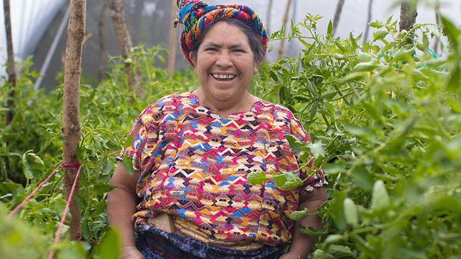A woman in a multi-colored knit shirt and hat smiles at the camera while standing in a field of plants. 