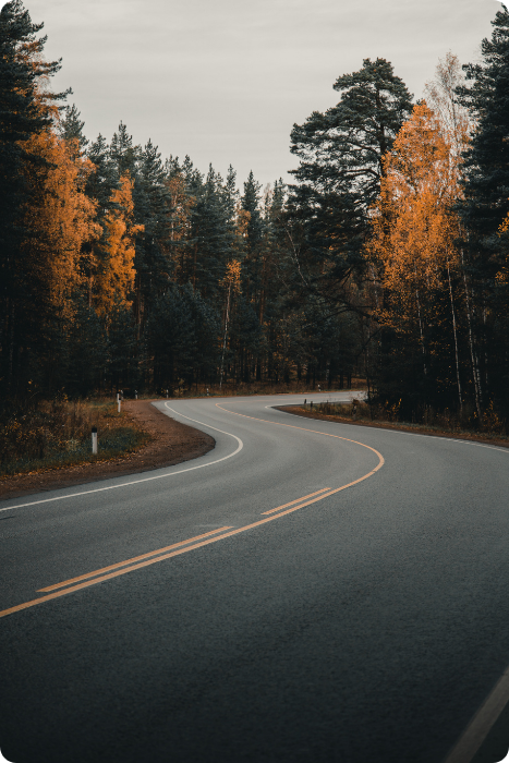 Curving two-lane road winding through a forest of evergreen and autumn-colored trees, with golden foliage lining the roadway under an overcast sky.