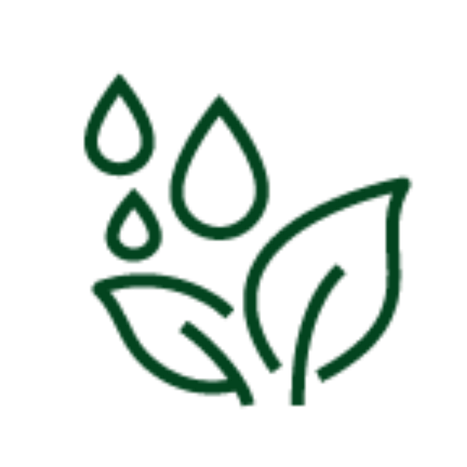 Simple green line icon of a leaf outline with droplets raining down on it