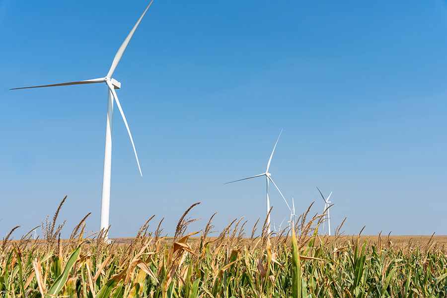 Cargill expands renewable electricity portfolio