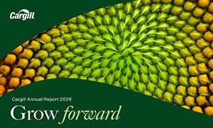 Annual report 2026 preview