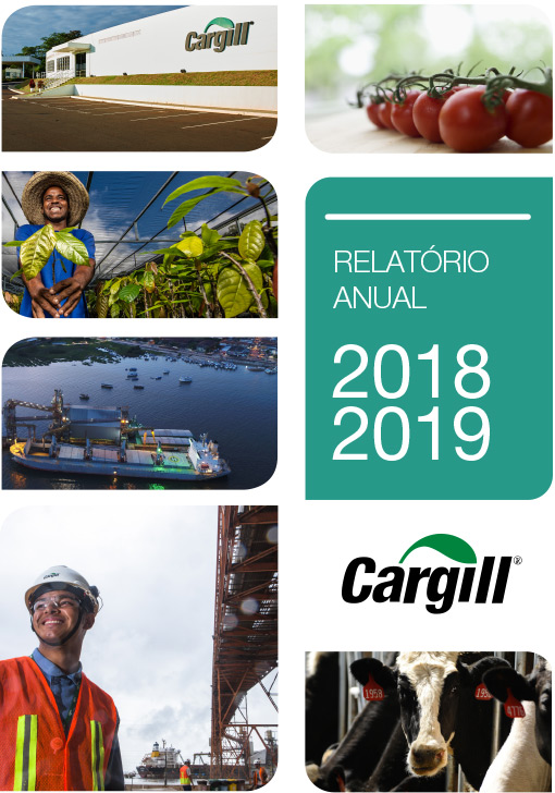 cargill annual report 2018 2019 contra account in balance sheet