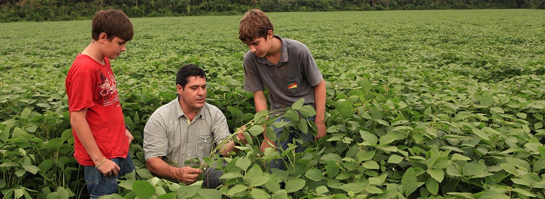 Plantação