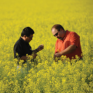 Employees in a field