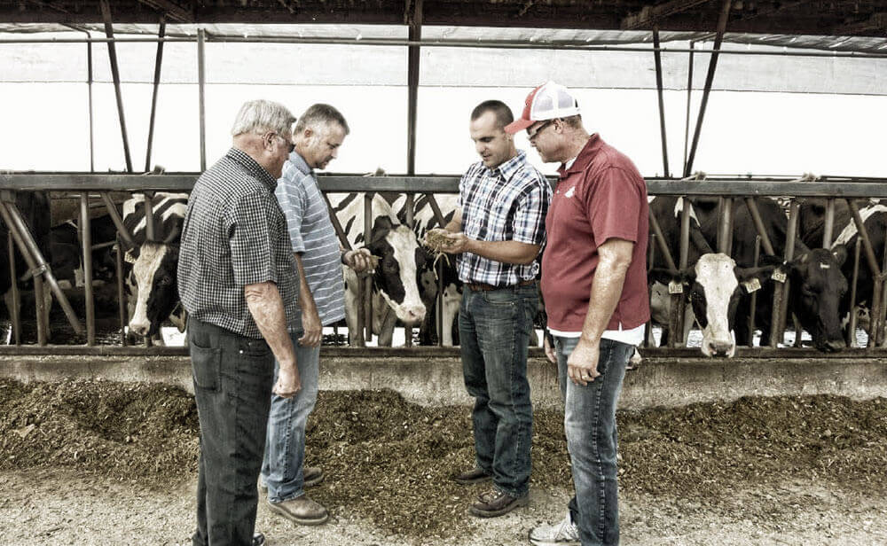 Cargill Dairy Dreams Animal Nutrition Success Stories
