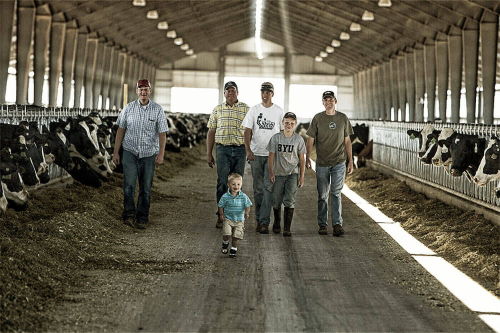 Cargill Dairy Dreams Animal Nutrition Success Stories