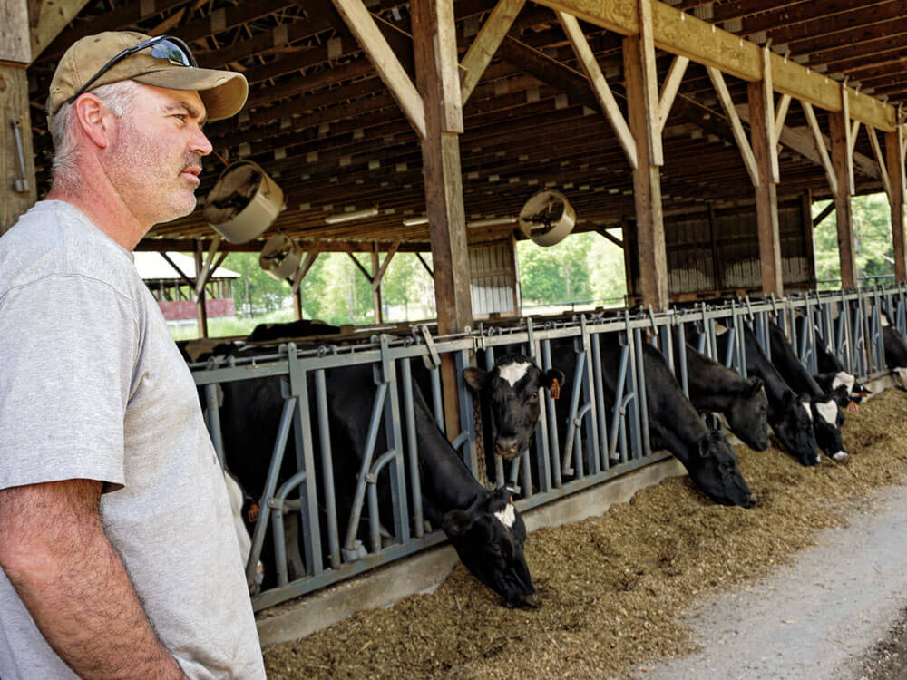 Cargill Dairy Dreams Animal Nutrition Success Stories