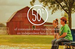 inpage-250-turkey-50-percent 