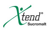 xtend logo inpage