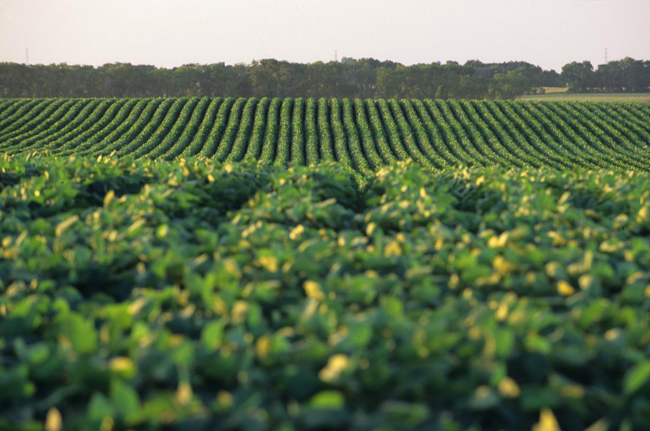 Cargill Onboarding- Hero image